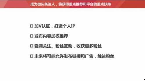 头条分享推荐类文章,分享推荐文章背后的热门趋势与技巧