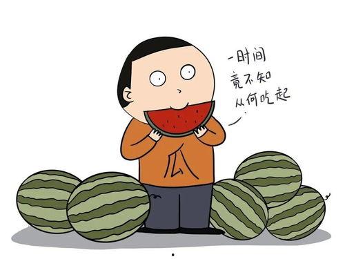吃瓜小伙伴全文,揭秘娱乐圈背后的故事与真相