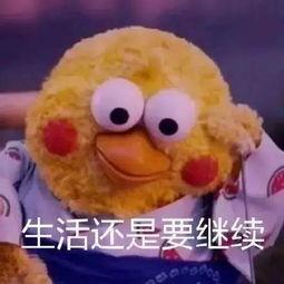 莱芜斜眼网红有哪些,网络红人的崛起与影响
