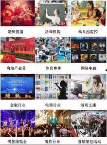 网红直播直招,揭秘直播带货背后的招生奥秘