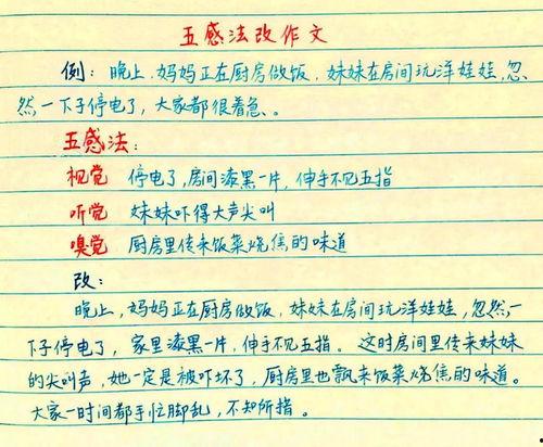 头条自我创作心得怎么写,探索内容创作之道