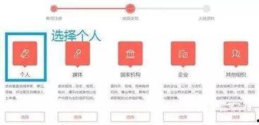 今日头条号杜鹃,揭秘今日头条号背后的故事与影响力