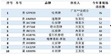 今日头条黔东南交通违章,多起违规行为被查处，安全出行警钟长鸣