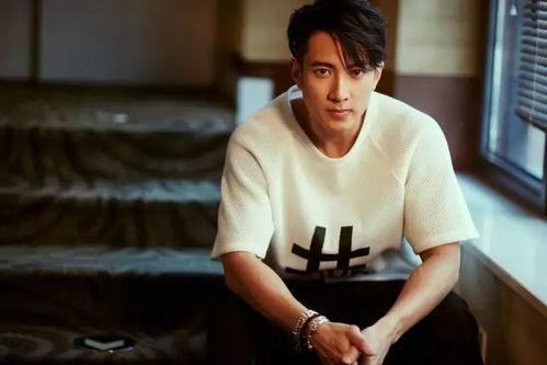 吴尊前妻爆料视频大全,揭秘明星婚姻背后的真相