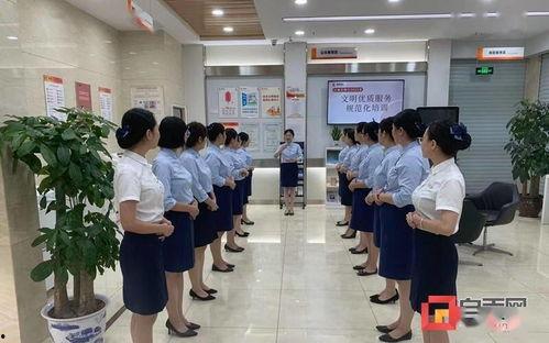 自贡明星物业服务培训,打造卓越服务品质的秘诀解析