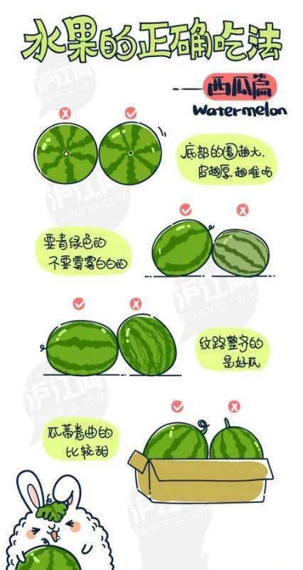 小瓜怎么吃才正确,正确吃法大揭秘