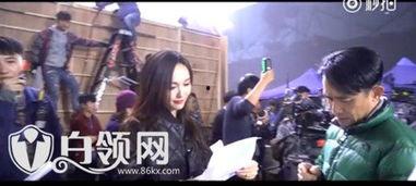 明星假人挑战视频,揭秘明星们的“神秘”日常
