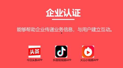 头条认证有几项,揭秘几大关键要素，助你轻松解锁平台权益！”