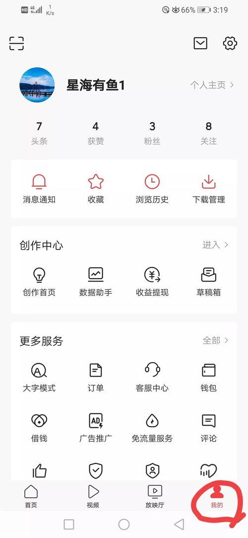 用户名头条,用户名背后的故事与影响力
